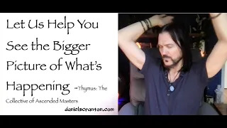 let us help you see the bigger picture of whats happening - thymus