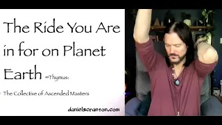 the ride you are in for on planet Earth - thymus