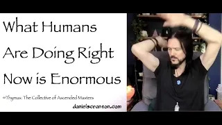what humans are doing right now is enormous - thymus