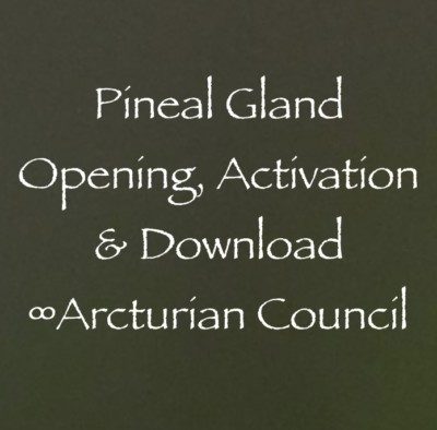 Pineal Gland Opening, Activation, & Download ∞The Arcturian Council