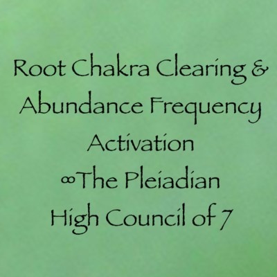 Root Chakra Clearing & Abundance Frequency Activation ∞The PHCo7